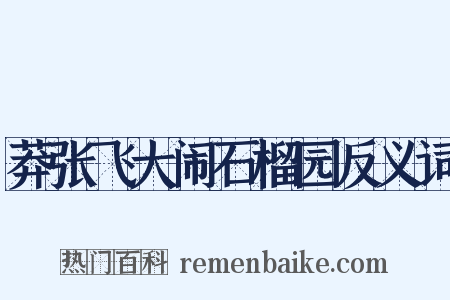 莽张飞大闹石榴园反义词是什么意思的图片